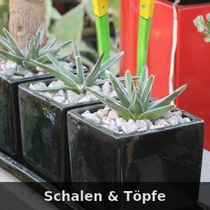 Angebote