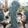 Myrtillocactus geometrizans var. cristata 29cm