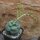 Crassula Hemisphaerica