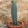 Myrtillocactus geometrizans